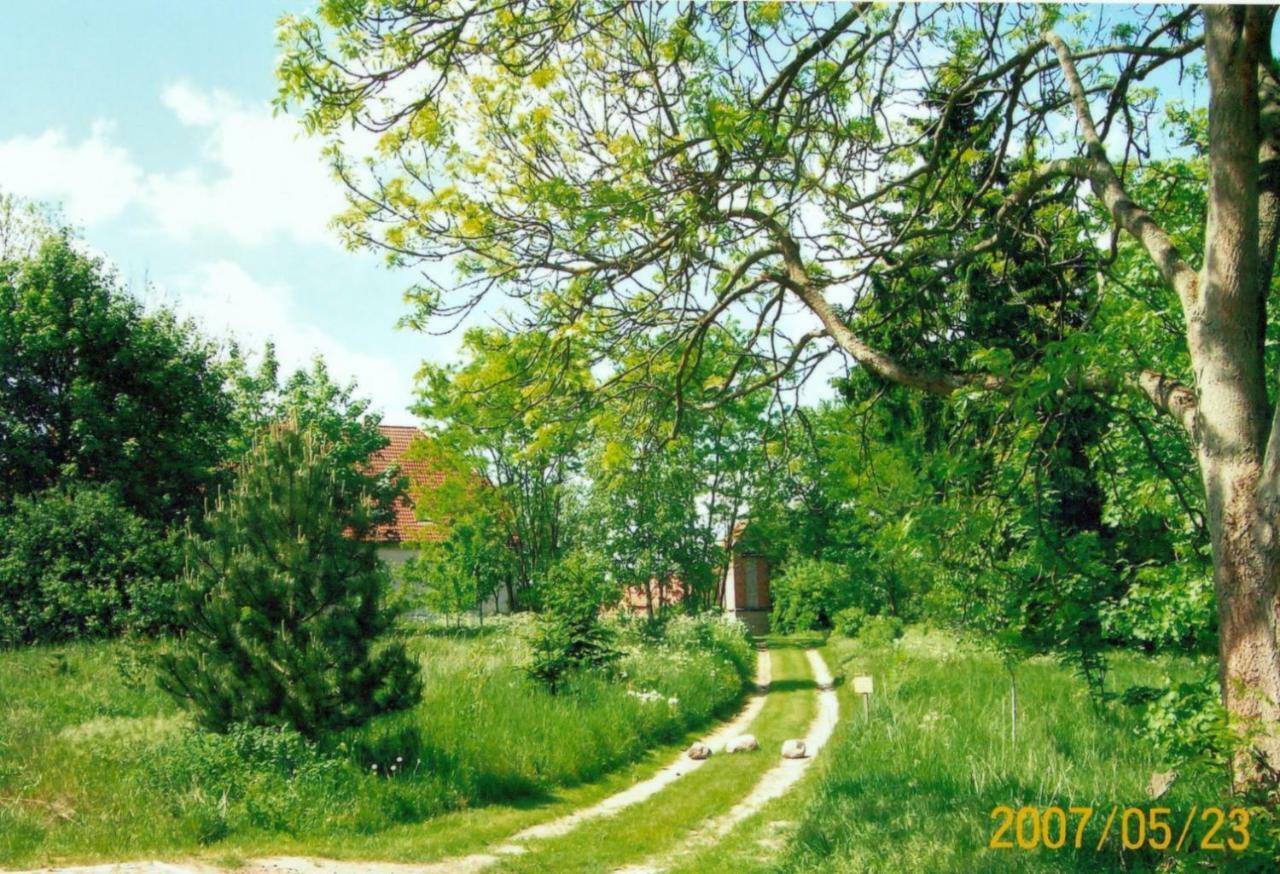Gutshaus Alt-Jargenow Daire Alt Jargenow Dış mekan fotoğraf